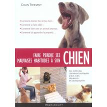 Faire Perdre Les Mauvaises Habitudes A Son Chien