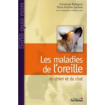 Les Maladies De Oreille Du Chien Et Du Chat