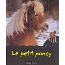 Le Petit Poney