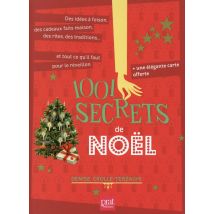 1001 Secrets De Noël