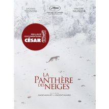 La Panthère Des Neiges