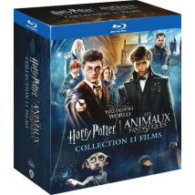 Wizarding World - Harry Potter / Les Animaux Fantastiques - L'Intégrale Coffret 11 Films