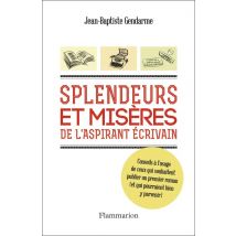 Splendeurs Et Misères De L'Aspirant Écrivain