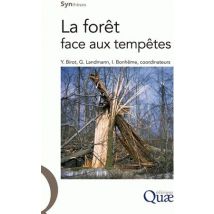 La Forêt Face Aux Tempêtes