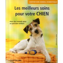 Choyer Son Animal Domestique - Les Meilleurs Soins Pour Votre Chien