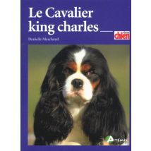 Le Cavalier King Charles