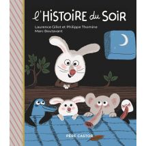 L'Histoire Du Soir