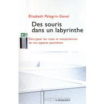 Des Souris Dans Un Labyrinthe