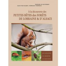 À La Découverte Des Petites Bêtes Des Forêts De Lorraine Et D'Alsace