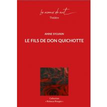 Le Fils De Don Quichotte