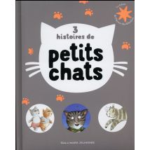 3 Histoires De Petits Chats
