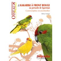 Le Kakariki À Front Rouge Ou Perruche De Sparrman - Cynoramphus Novaezelandiae
