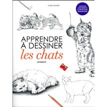 10 Leçons Pour Apprendre À Dessiner Les Chats