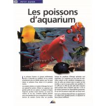 Poissons D'Aquarium
