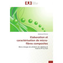 Elaboration Et Caracterisation De Micro-fibres Composites