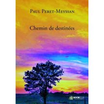 Chemin De Destinées