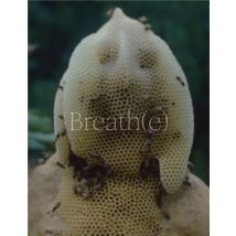 Breath(e) : Toward Climate And Social Justice