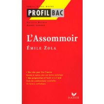 L'Assommoir, D'Emile Zola