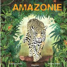 Amazonie