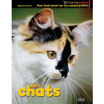 Chats (les)