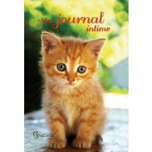 Mon Journal Intime Chat