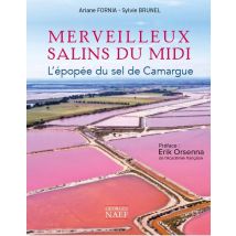 Merveilleux Salins Du Midi