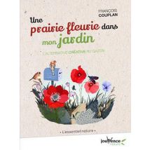Une Prairie Fleurie Dans Mon Jardin - L'Alternative Créative Au Gazon
