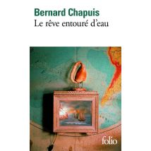 Le Rêve Entouré D'Eau