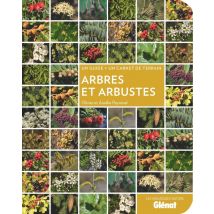 Arbres Et Arbustes