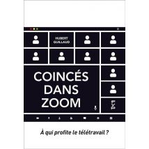 Coincés Dans Zoom : À Qui Profite Le Télétravail ?