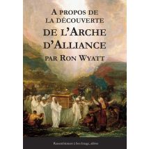 À Propos De La Découverte De L'Arche D'Aliance