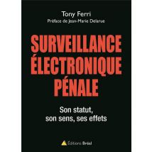 Surveillance Électronique Pénale - Son Statut, Son Sens, Ses Effets