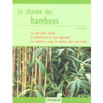 Le Charme Des Bambous