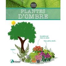Plantes D'Ombre
