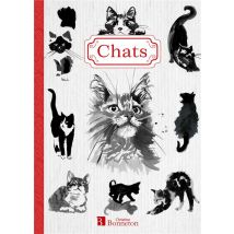 Chats - Petit Carnet De Notes