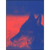 Asta Groting : Das Wesen Von X