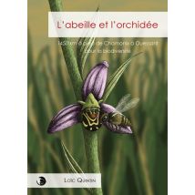 L'Abeille Et L'Orchidée