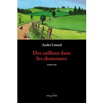 Des Cailloux Dans Les Chaussures.