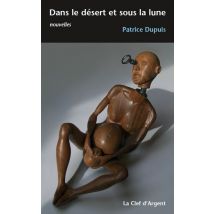Dans Le Désert Et Sous La Lune