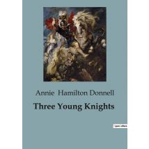Three Young Knights : Adventures Of Three Brothers On A Quest For Chivalry