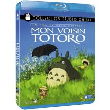 Mon Voisin Totoro