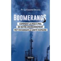 Boomerangs