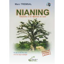 Nianing L'Odyssée Et Le Retour