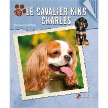 Le Cavalier King Charles