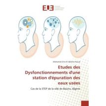 Etudes Des Dysfonctionnements D'Une Station D'Epuration Des Eaux Usees : Cas De La Step De La Ville De Bouira, Algerie