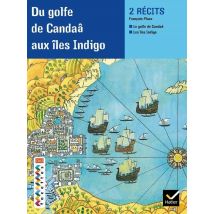 Facettes Bibliotheque : Du Golfe De Candaâ Aux Îles Indigo - Cm2