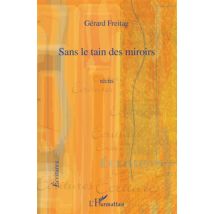 Sans Le Tain Des Miroirs