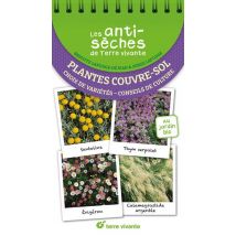 Les Antisèches De Terre Vivante : Plantes Couvre-sol : Choix De Variétés - Conseils De Culture