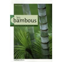 Les Bambous