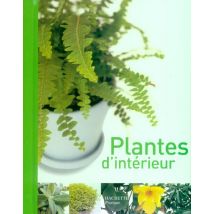 Plantes D'Interieur